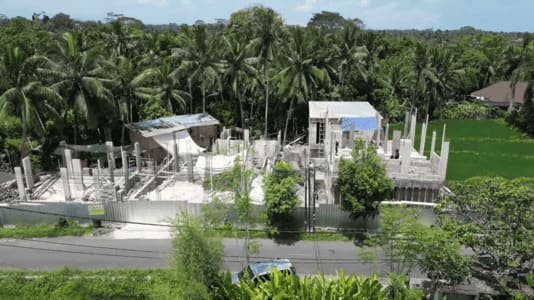 Structure Development